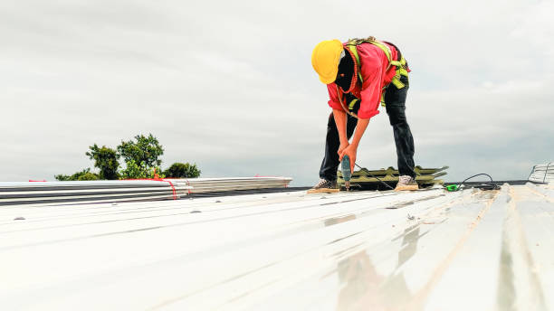 Best Steel Roofing  in Weldon, CA