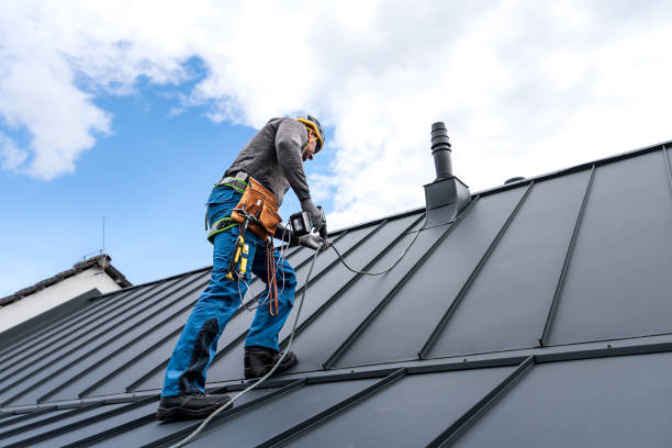 Best Roof Maintenance and Cleaning  in Weldon, CA
